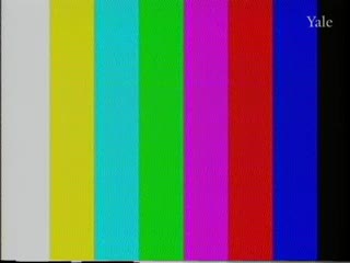 media 94943 thumbnail image