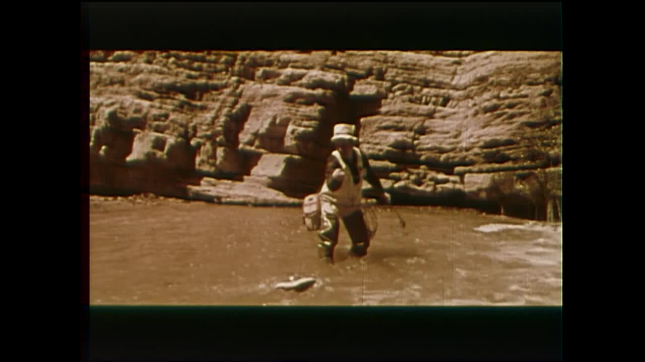 media 95676 thumbnail image