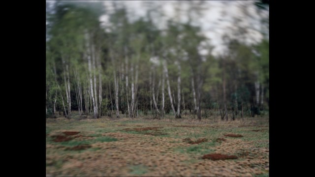 media 100196 thumbnail image