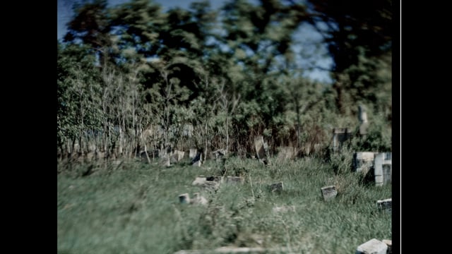 media 100198 thumbnail image