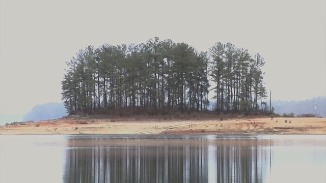media 100245 thumbnail image