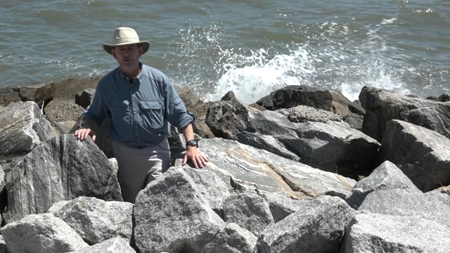 media 100408 thumbnail image