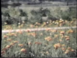 media thumbnail