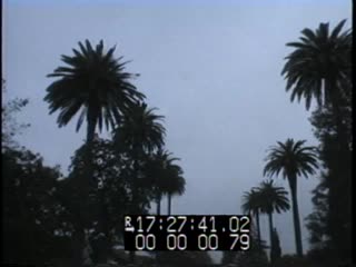 media thumbnail