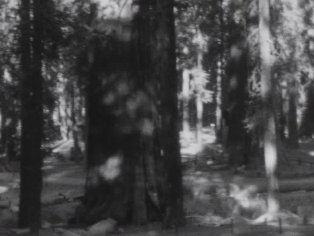 media 116218 thumbnail image