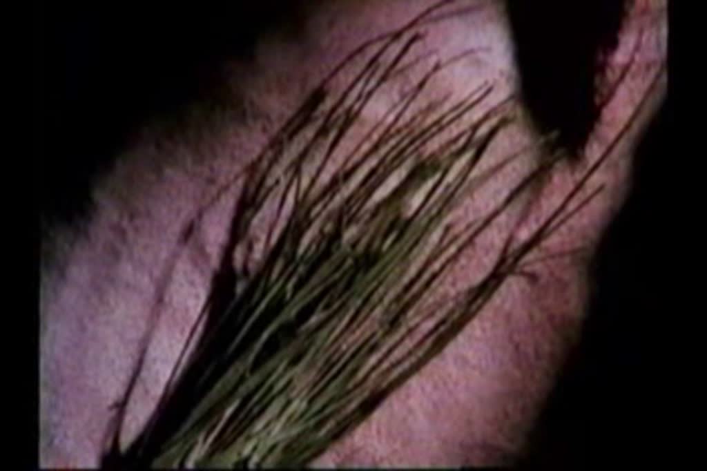 media 131544 thumbnail image