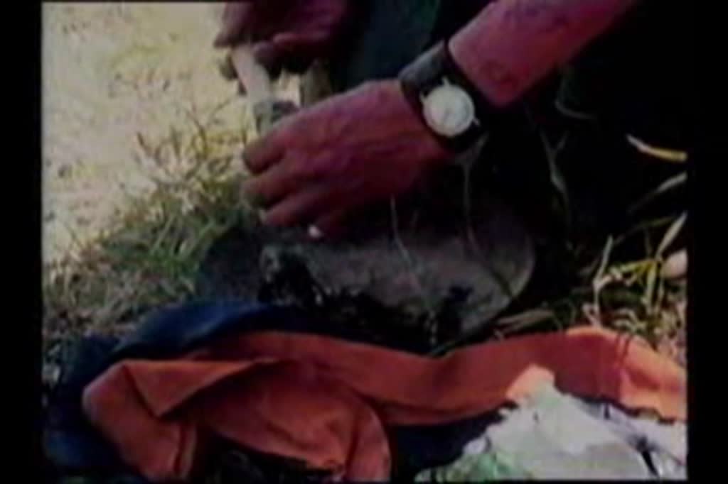 media 131578 thumbnail image