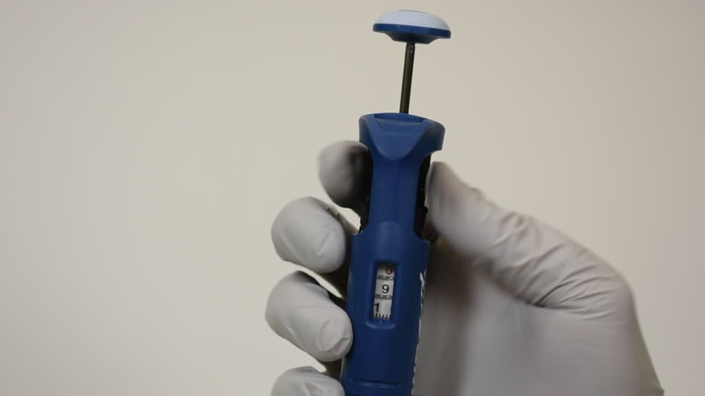 media 131895 thumbnail image