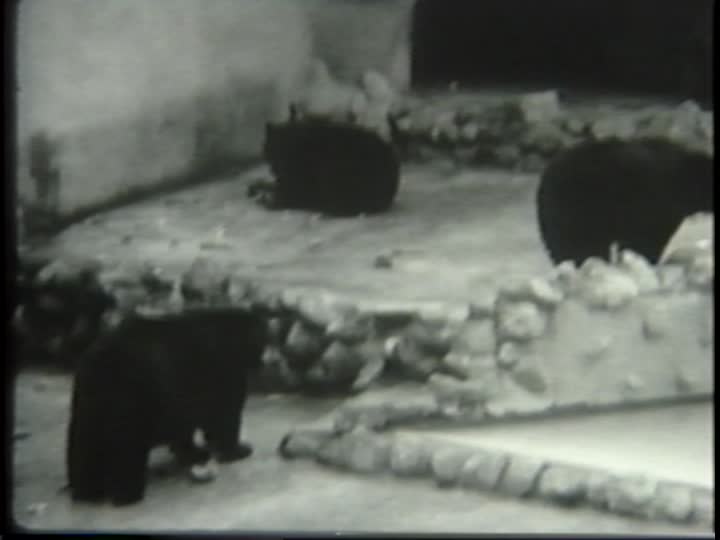 media 148452 thumbnail image