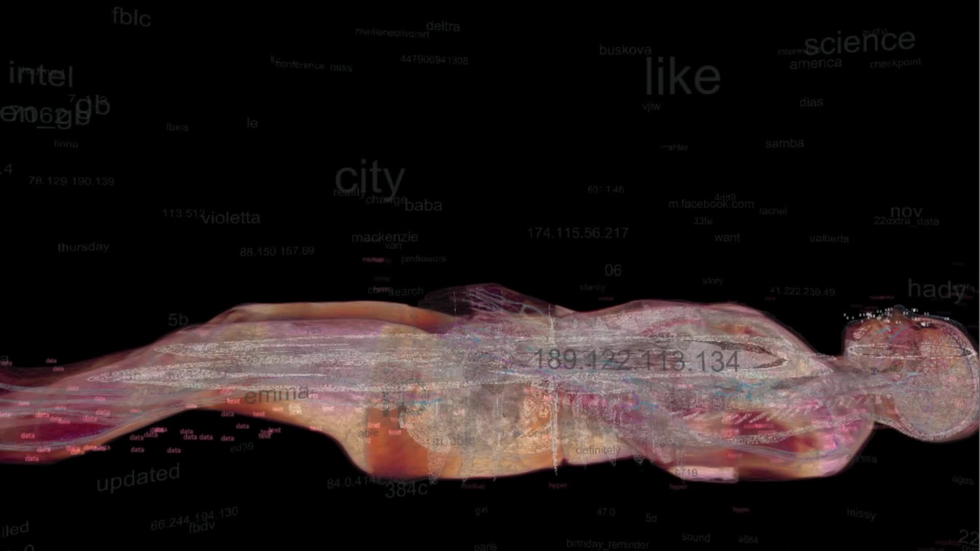 media 155556 thumbnail image