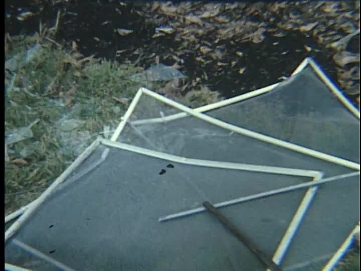 media 155558 thumbnail image