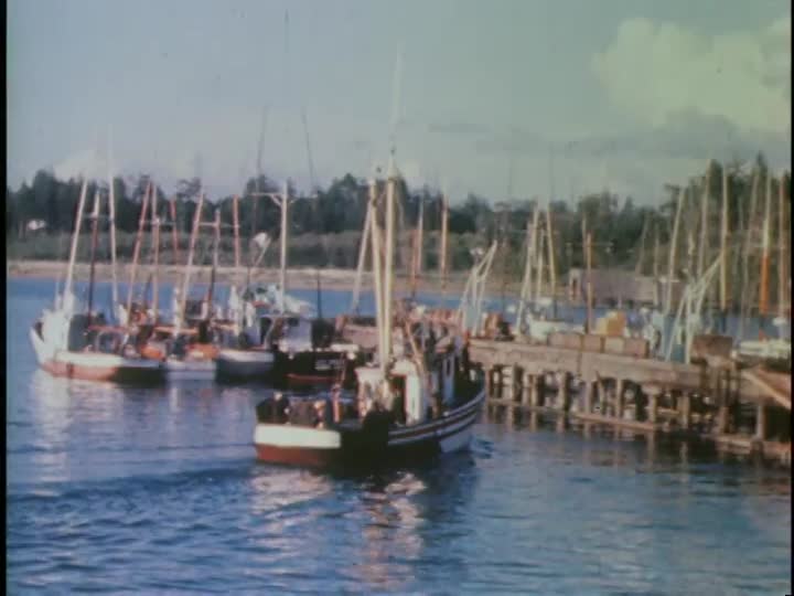 media 155608 thumbnail image