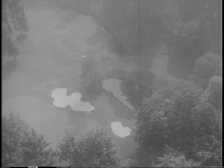 media 155624 thumbnail image