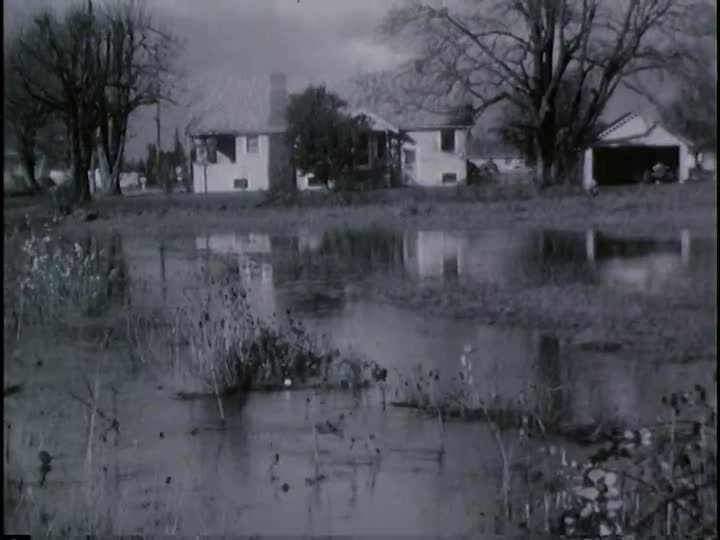 media 155630 thumbnail image