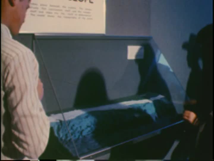 media 155639 thumbnail image