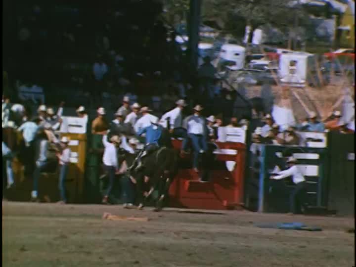 media 155667 thumbnail image