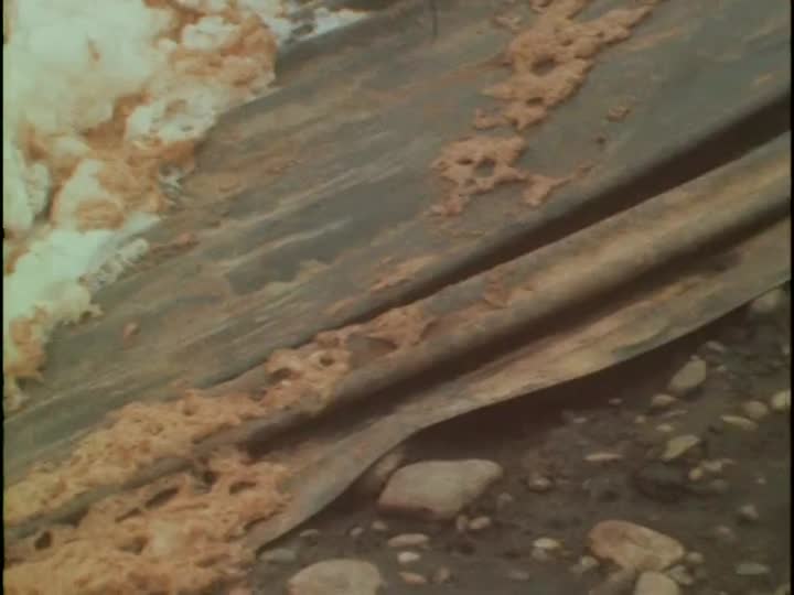 media 155734 thumbnail image