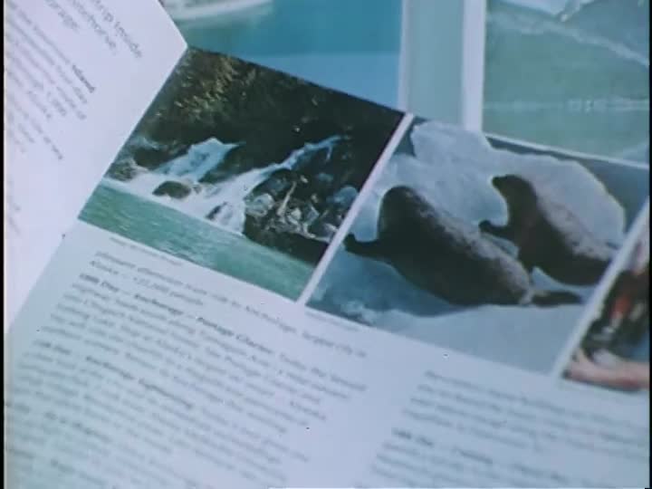 media 155736 thumbnail image