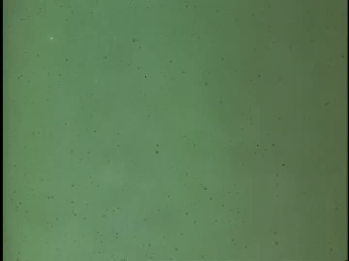 media 155785 thumbnail image