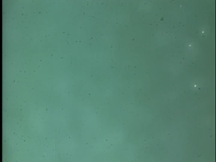 media 155787 thumbnail image