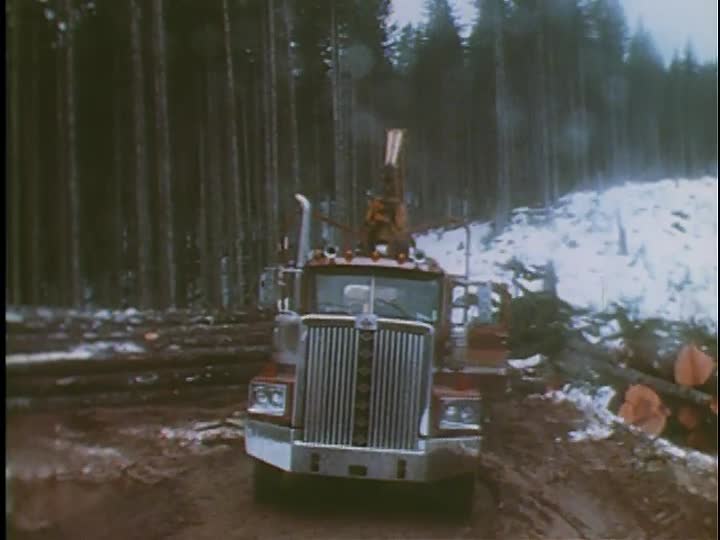media 155835 thumbnail image