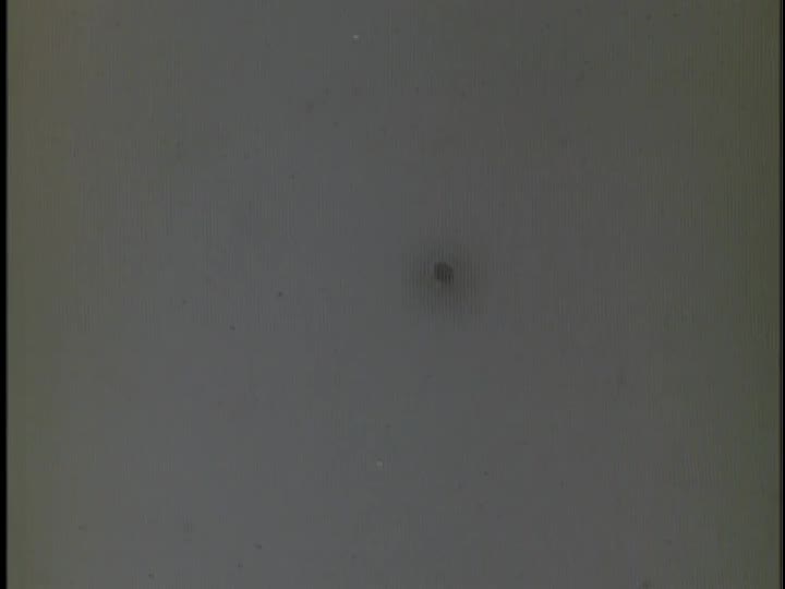 media 155839 thumbnail image