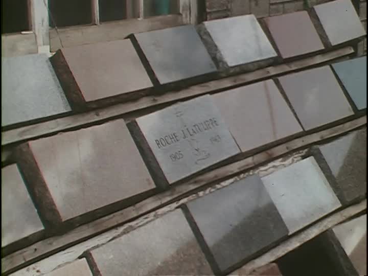 media 155846 thumbnail image