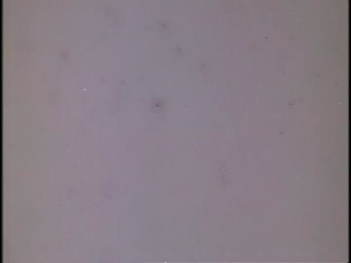 media 155851 thumbnail image
