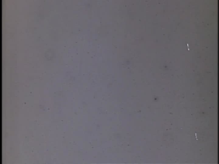 media 155852 thumbnail image