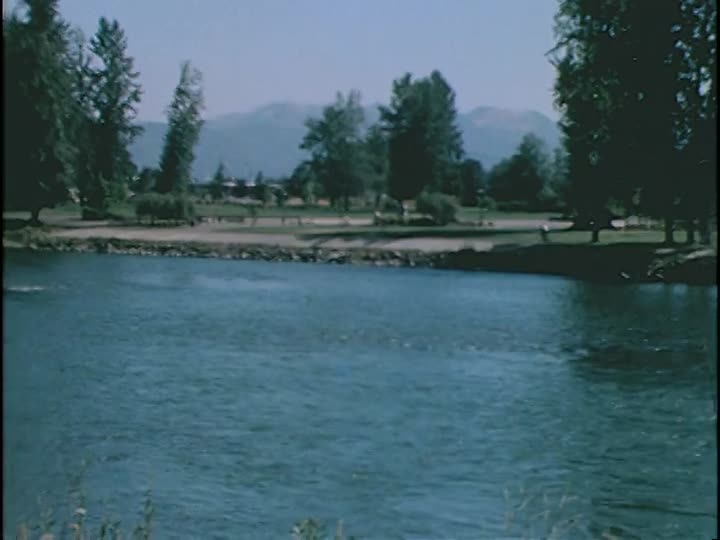 media 155864 thumbnail image