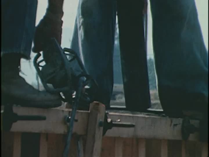 media 155867 thumbnail image