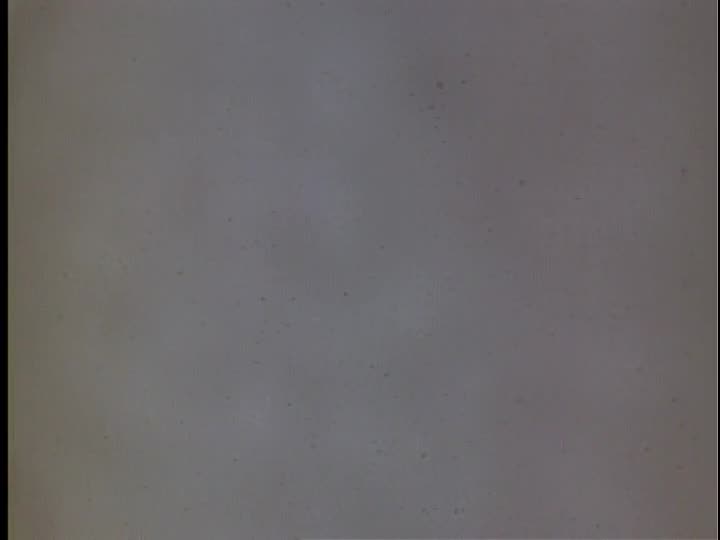 media 155868 thumbnail image