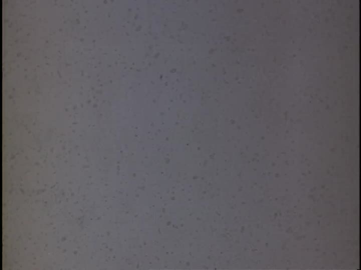 media 155871 thumbnail image