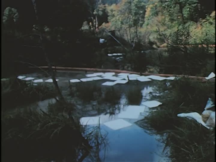 media 155875 thumbnail image
