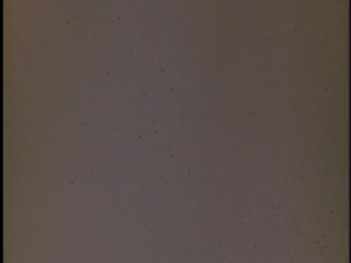 media 155877 thumbnail image