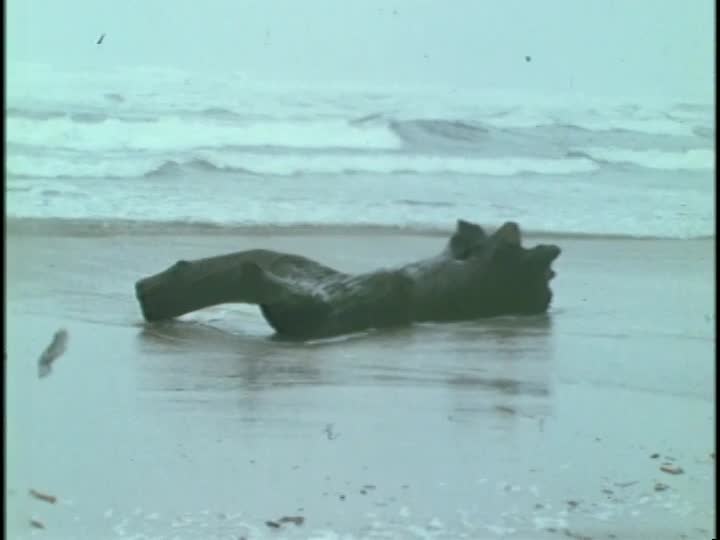 media 155896 thumbnail image