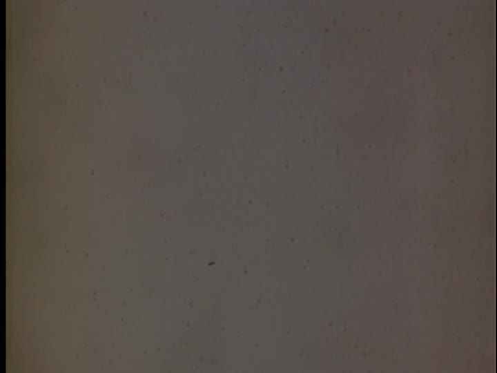 media 155915 thumbnail image