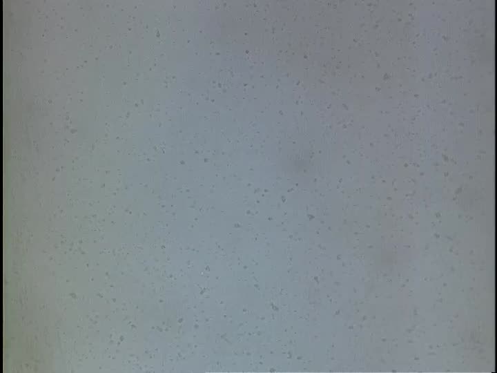 media 155916 thumbnail image