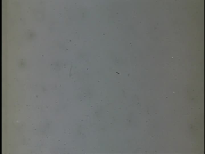 media 155947 thumbnail image