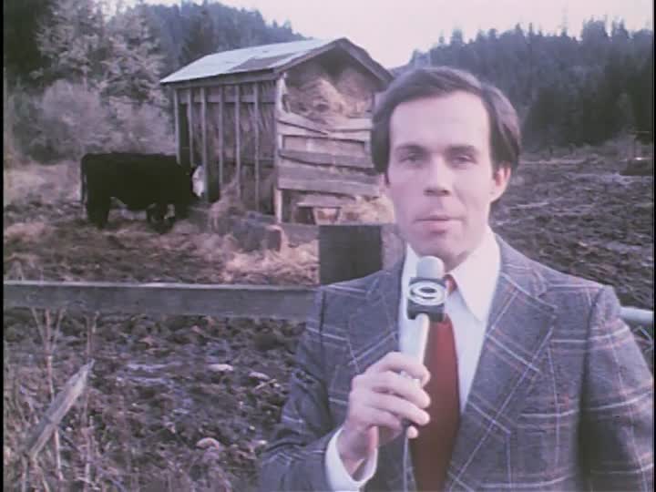media 155974 thumbnail image