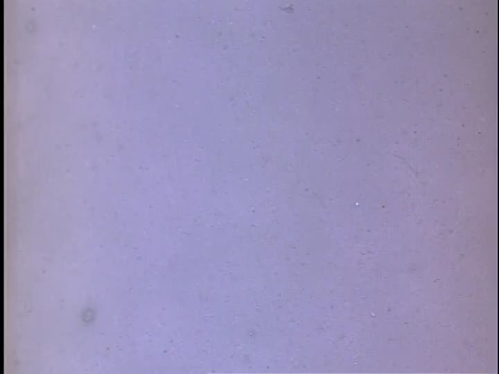 media 155981 thumbnail image