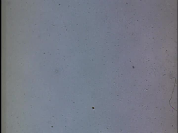 media 155998 thumbnail image