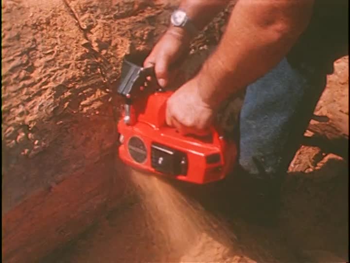 media 156037 thumbnail image