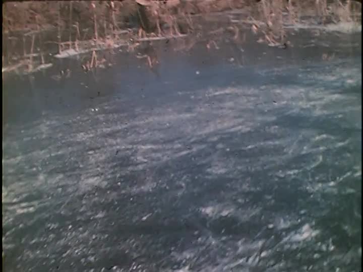 media 156065 thumbnail image