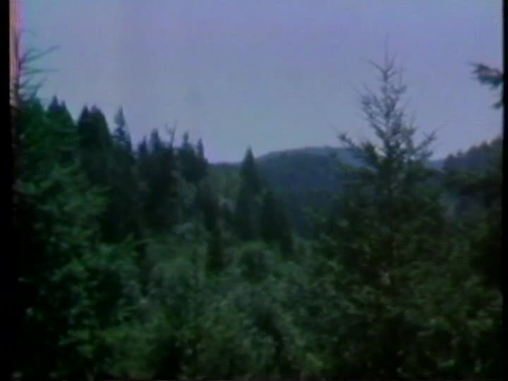 media 156111 thumbnail image