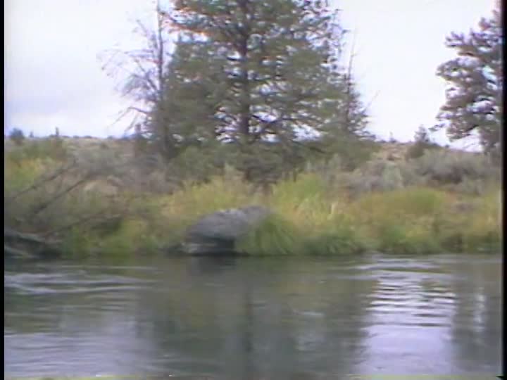 media 156276 thumbnail image
