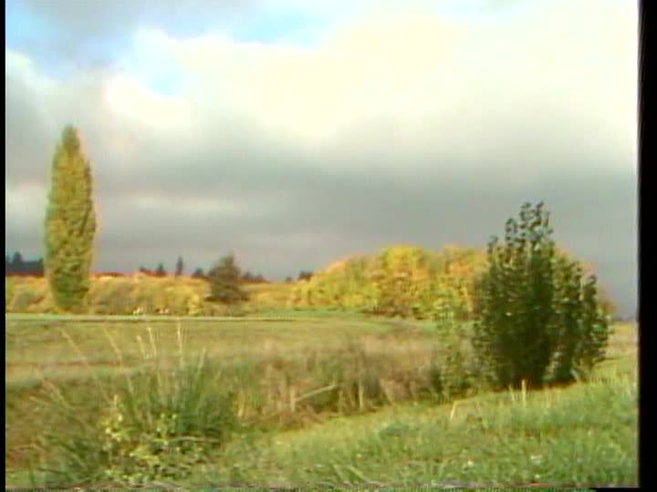 media 156410 thumbnail image