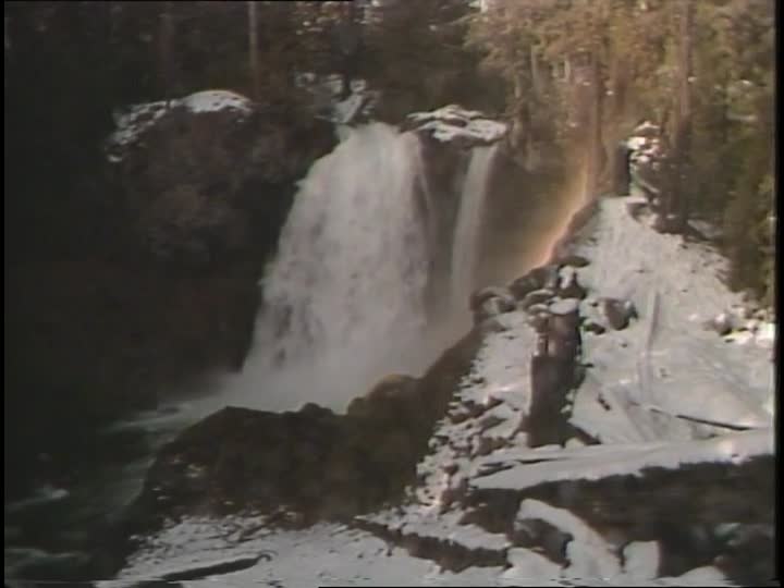 media 156431 thumbnail image