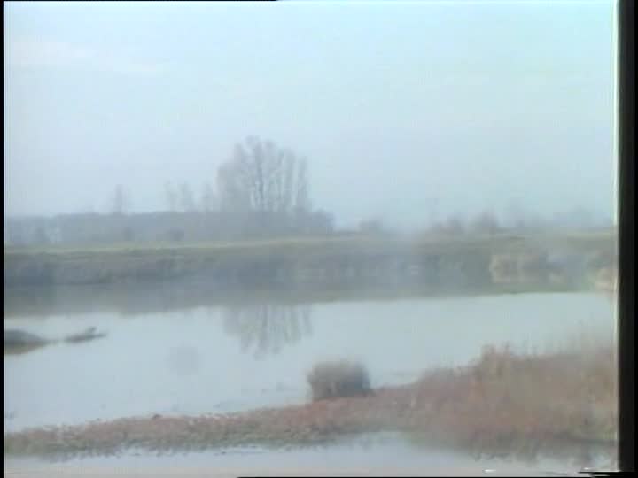 media 156439 thumbnail image