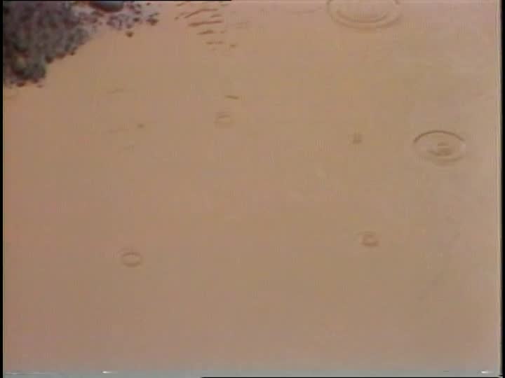 media 156441 thumbnail image
